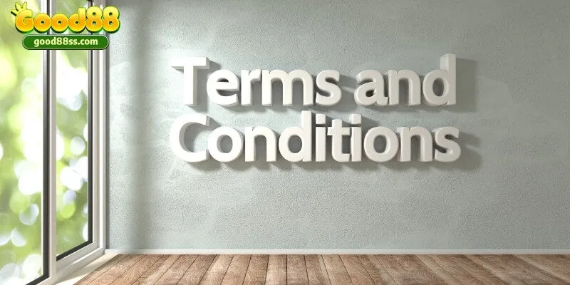 Điều khoản điều kiện quy định nghĩa vụ và quyền lợi của người chơi tại nhà cái