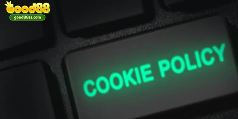 Cam kết của nhà cái về việc thu thập, sử dụng cũng như xử lý Cookie